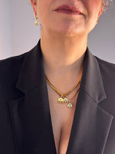 Load image into Gallery viewer, Sarparcham necklace
